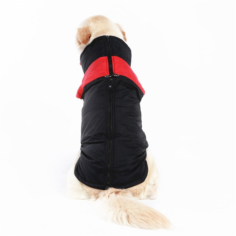 Winter-Hundejacke / Hundeweste / Hundemantel - wasserdicht, warm & weich_rot 5