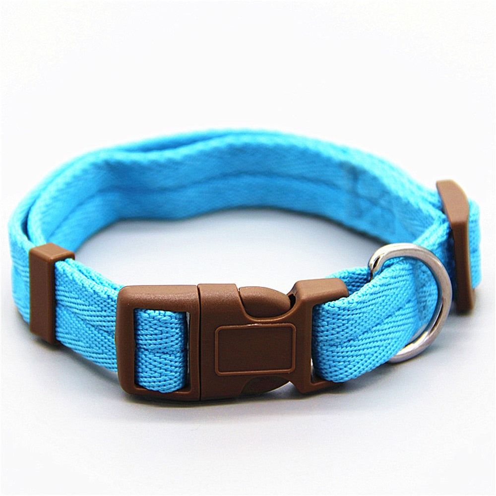 hundeleine und hundegeschirr für 2 hunde blau