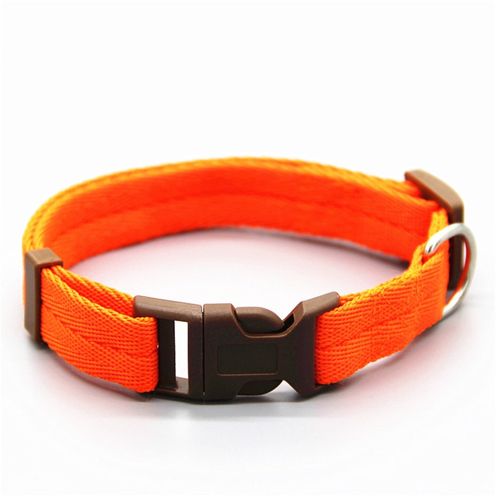 hundeleine und hundegeschirr für 2 hunde orange 3