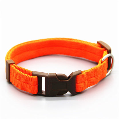 hundeleine und hundegeschirr für 2 hunde orange 3