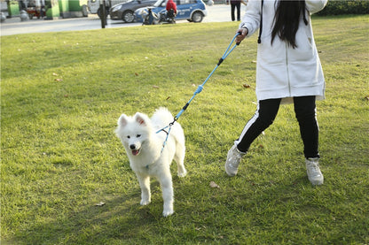 hundeleine und hundegeschirr set blau testsieger