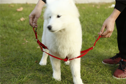 hundeleine und hundegeschirr set orange testsieger