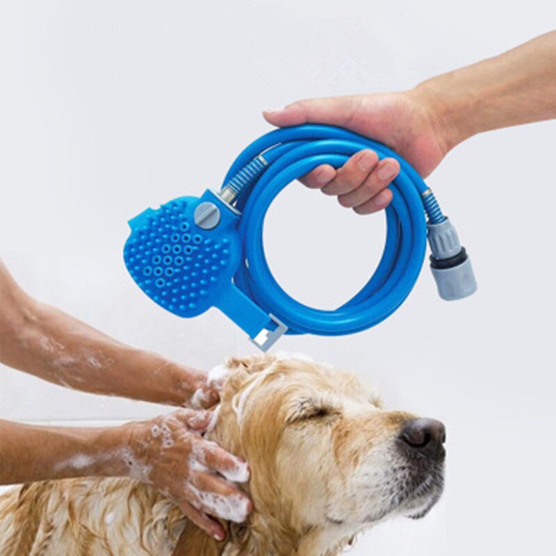 hundedusche des jahres