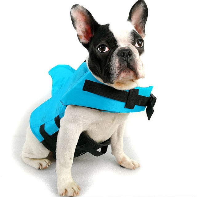 hunde schwimmweste blau
