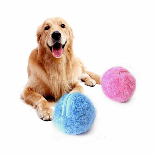 selbstrollender hundeball