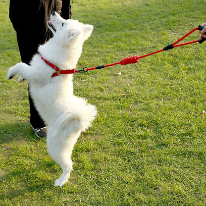 hundeleine und hundegeschirr set orange testsieger