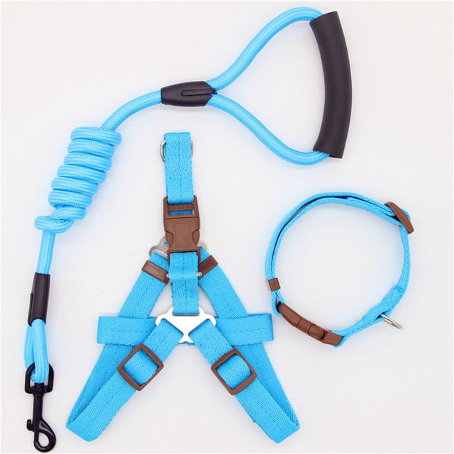 hundeleine und hundegeschirr set blau