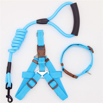 hundeleine und hundegeschirr set blau