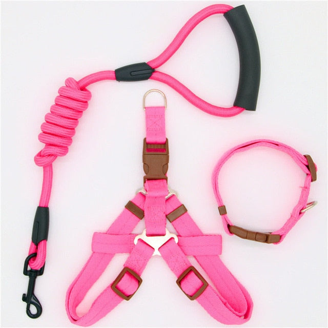 hundeleine und hundegeschirr set pink