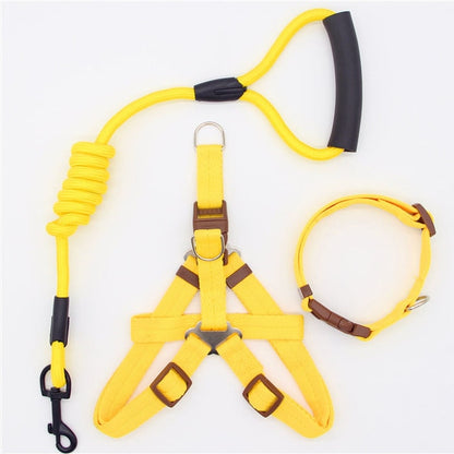 hundeleine und hundegeschirr set gelb