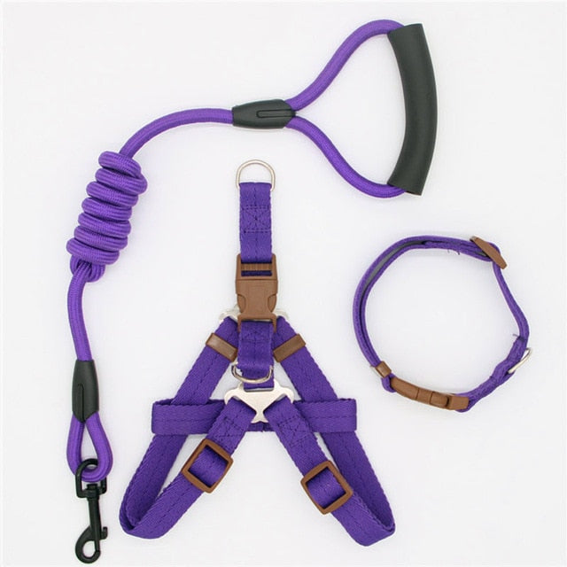 hundeleine und hundegeschirr set lila