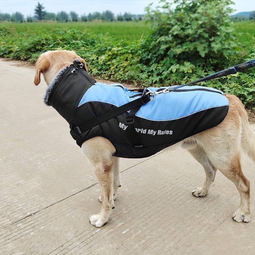 Allwetter Hundejacke mit Innenfutter und integriertem Geschirr blau