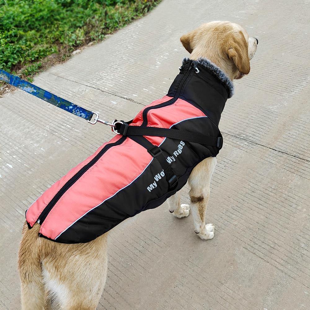 Allwetter Hundejacke mit Innenfutter und integriertem Geschirr rot