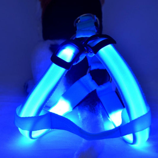 leuchtendes hundegeschirr blau