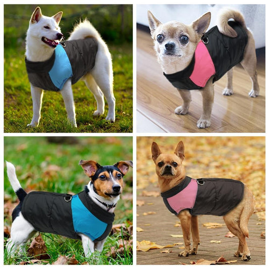 Hundeweste - Hundemantel