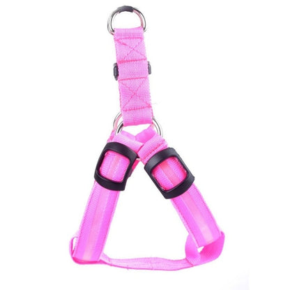 leuchtendes hundegeschirr pink