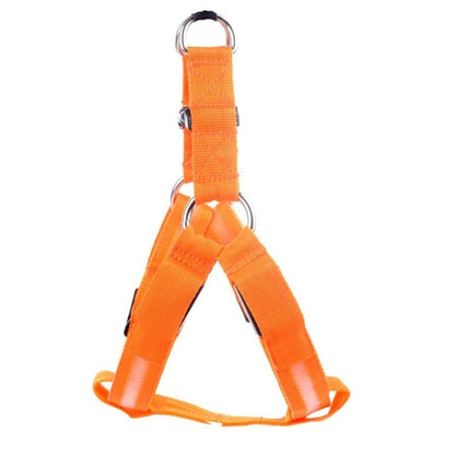 leuchtendes hundegeschirr orange