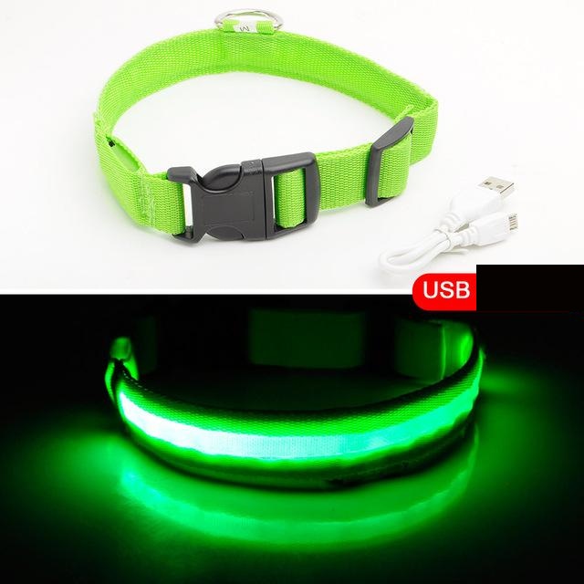 hundehalsband led grün