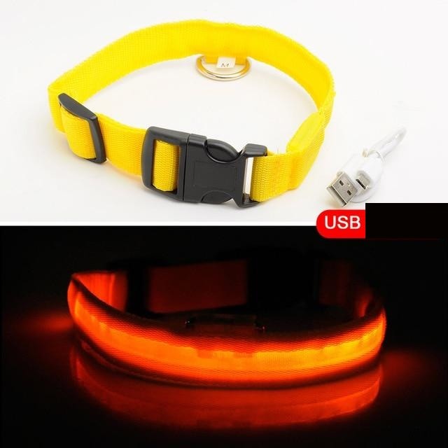 hundehalsband led gelb