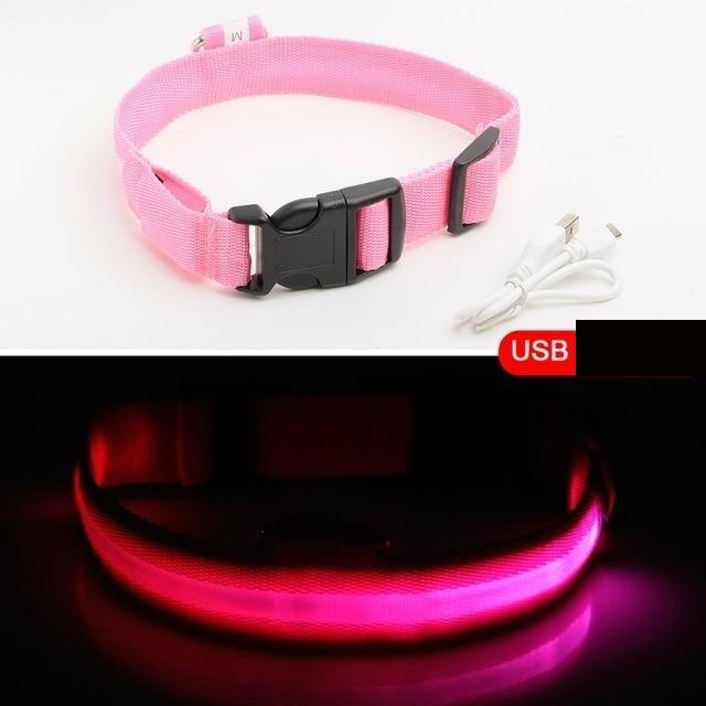 hundehalsband led rosa