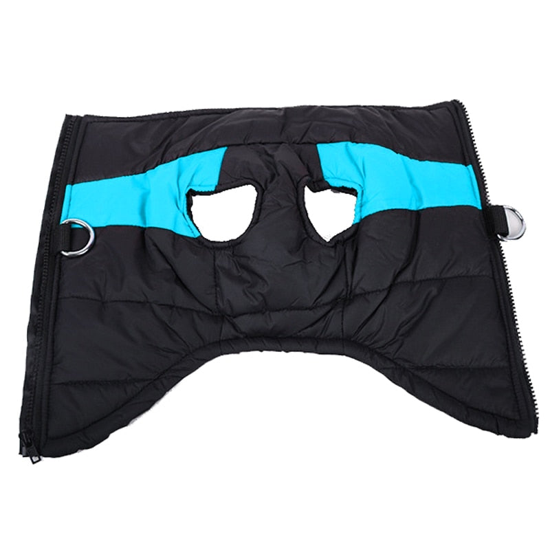 Winter-Hundejacke / Hundeweste / Hundemantel - wasserdicht, warm & weich_blau 2
