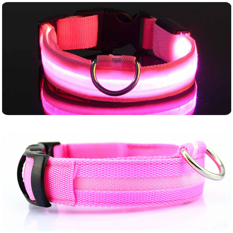 hundehalsband led rosa testsieger