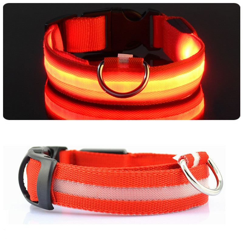 hundehalsband led orange